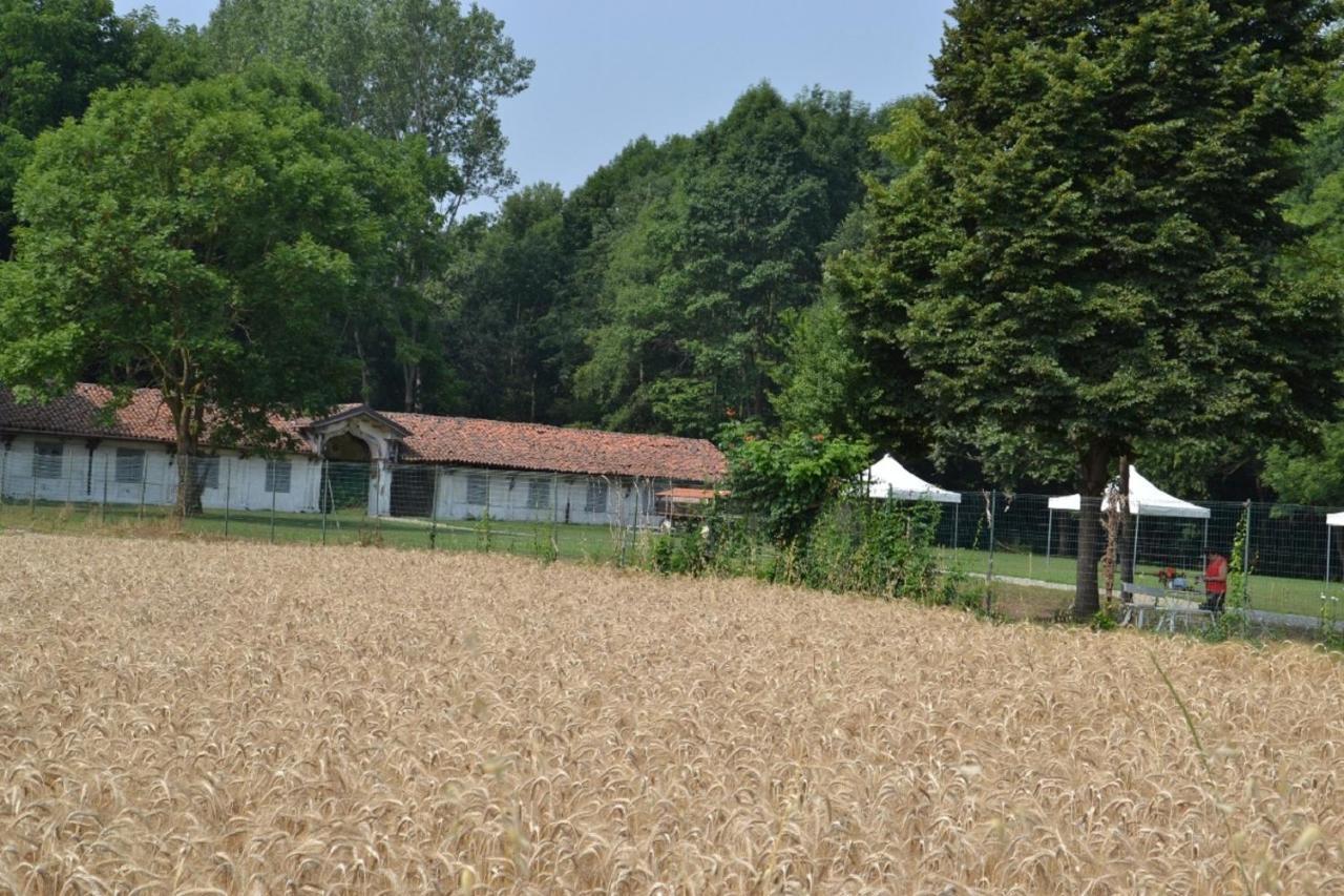 La Dimora Di Artemide Bed and Breakfast Nichelino Zewnętrze zdjęcie